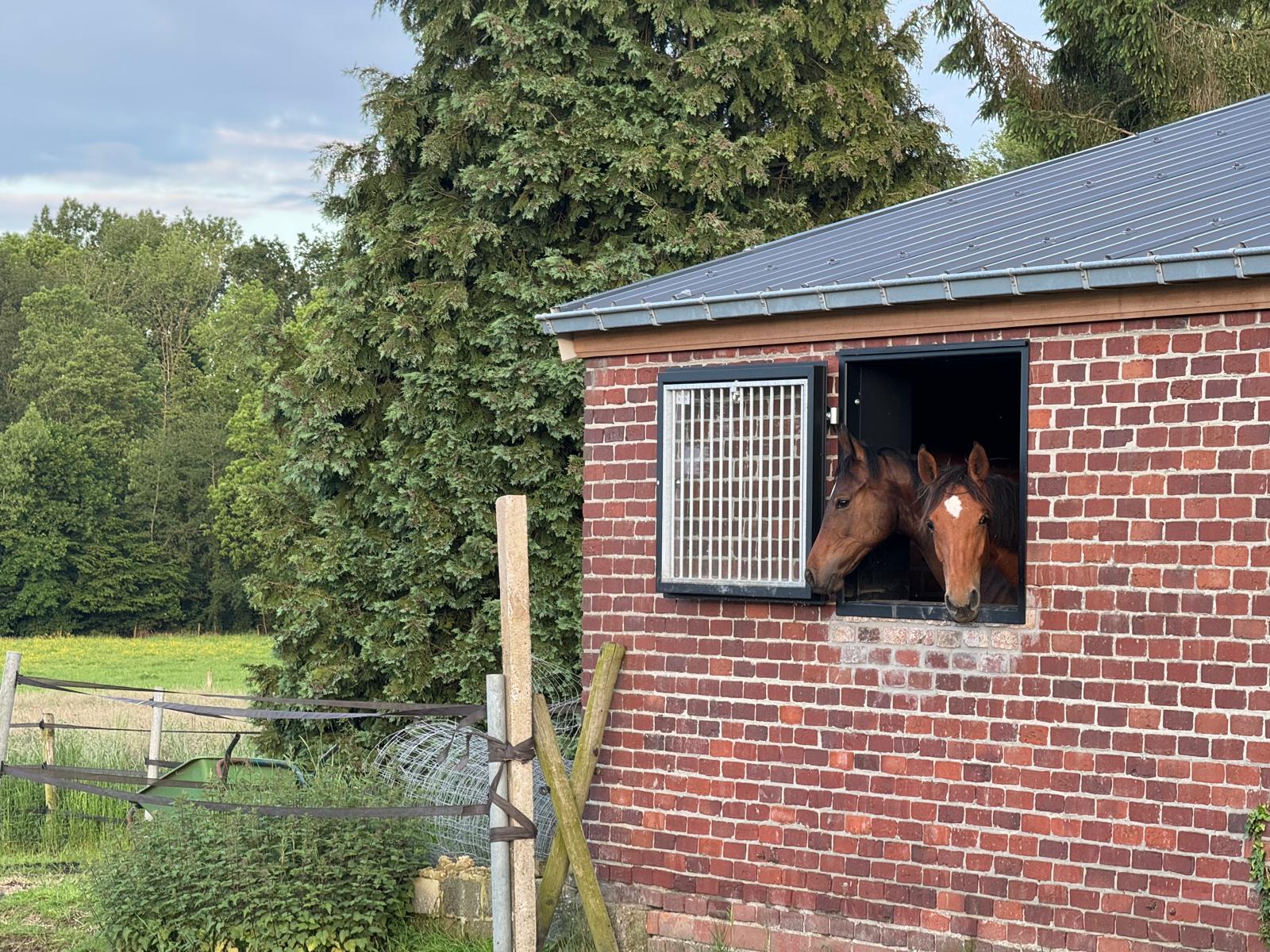 Aangepast paardrijden met ondersteuning