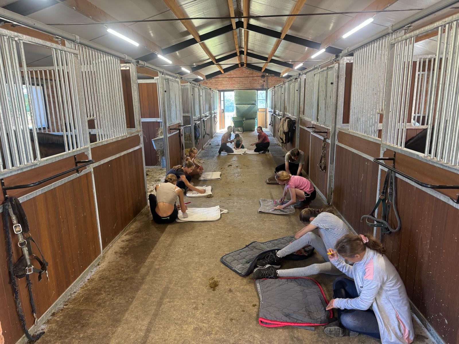 Jong persoon in interactie met paard