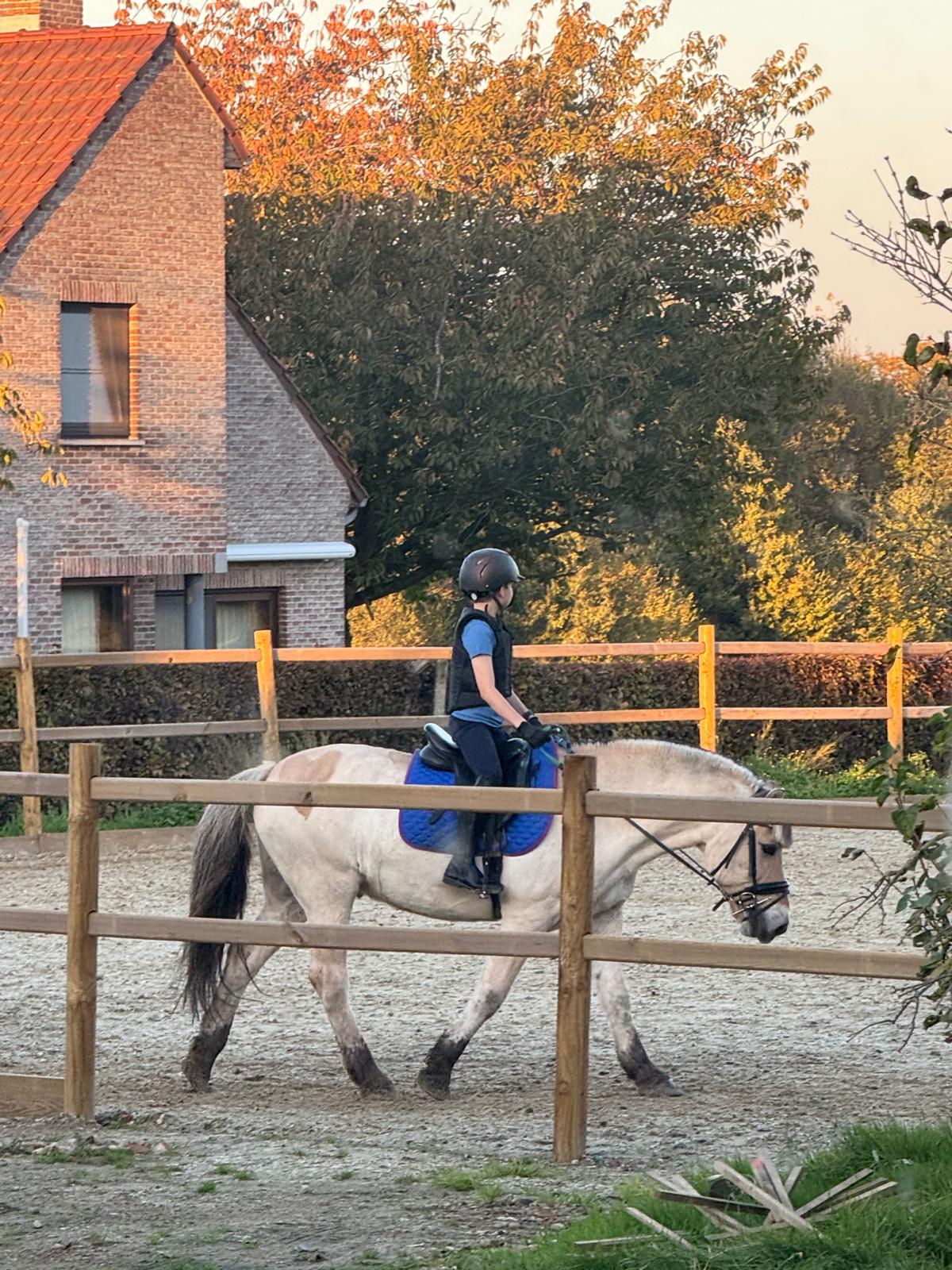 Kind op paard tijdens therapie